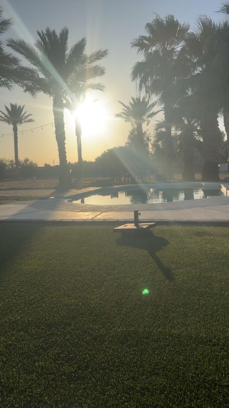 Grounds That Look Like a Professional Photoshoot