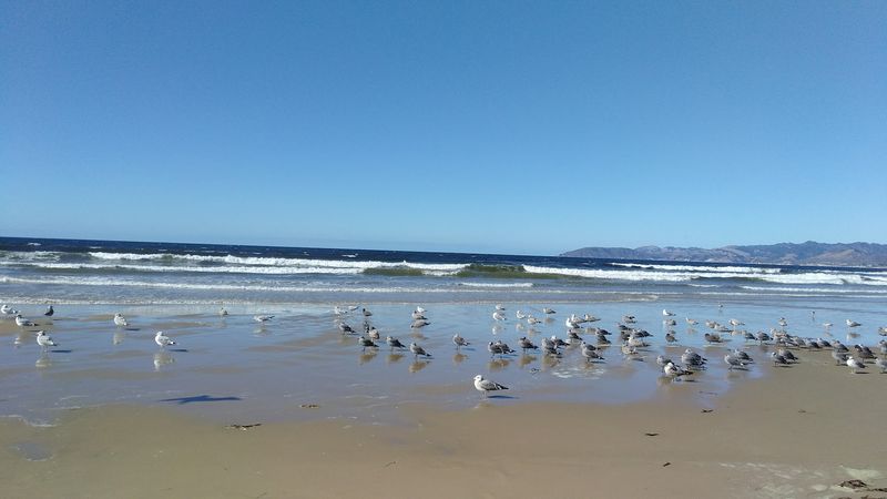 Grover Beach, California