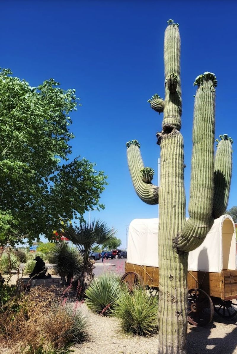 Guest Ranches That Offer a One-of-a-Kind Getaway