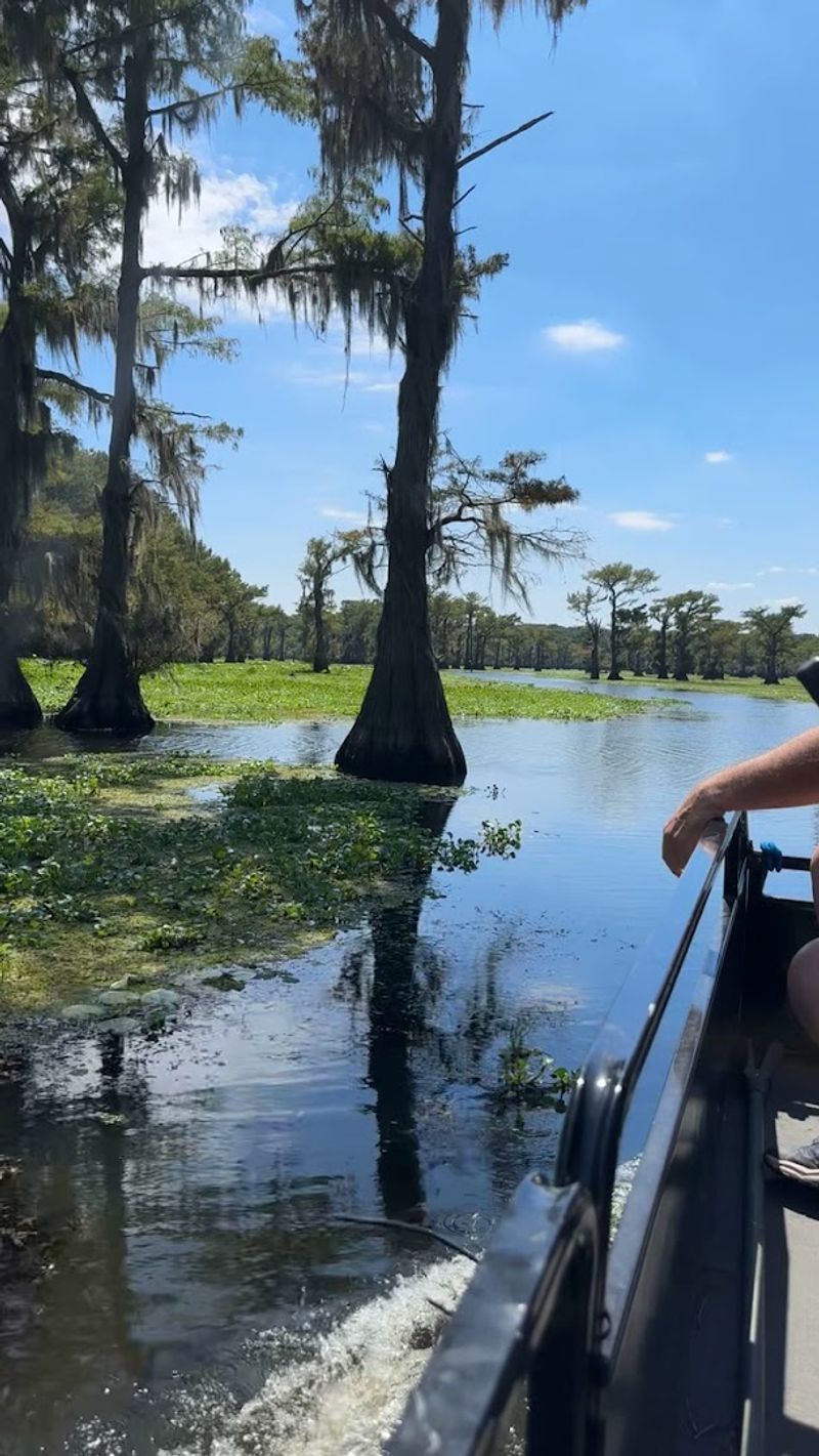 Guided Boat Tours That Bring the Lake to Life