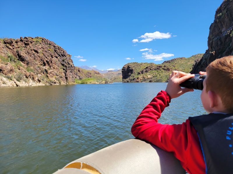 Guided Boat Tours on the Desert Queen