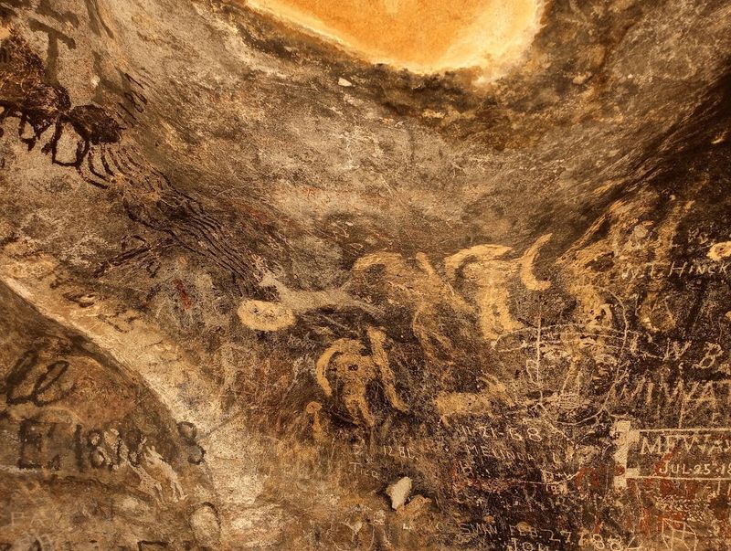 Guided Tours That Unlock the Park's Deepest Secrets