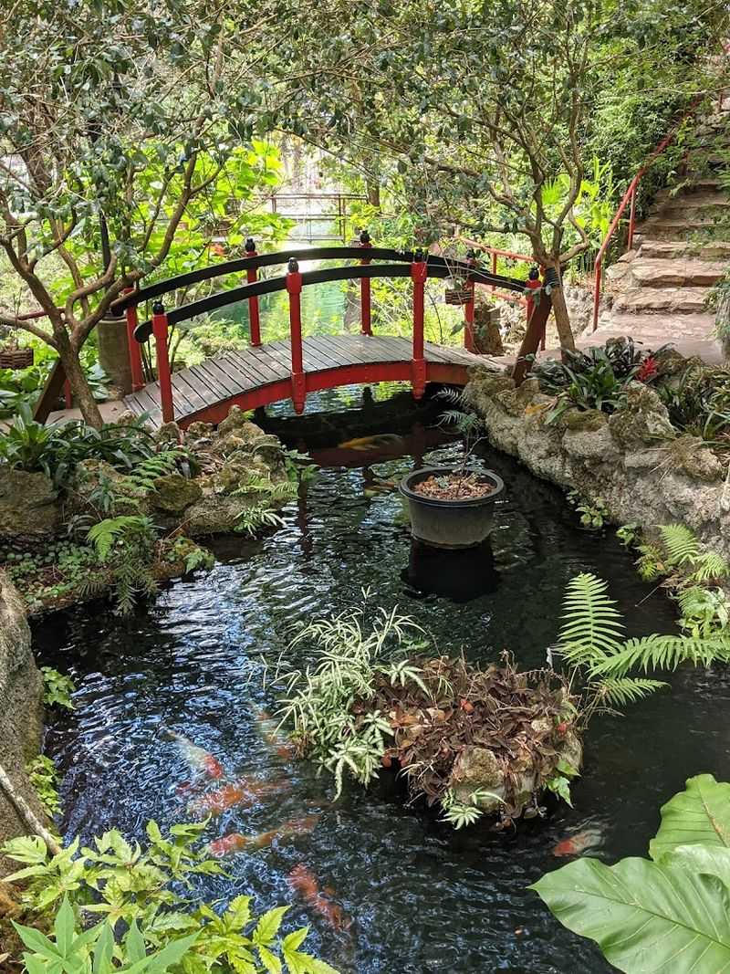 Guided Tours and Self-Paced Exploring — Your Choice
