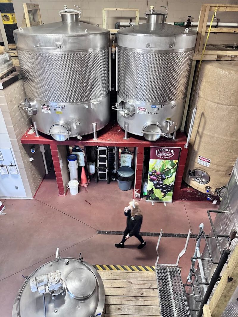 Guided Winery Tours Full of Fun Facts