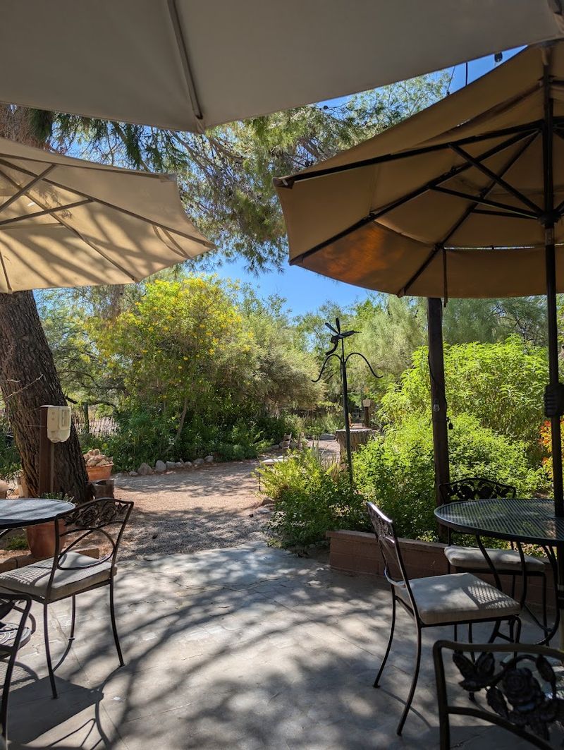 Guitars Under the Stars — Live Music in a Garden Setting