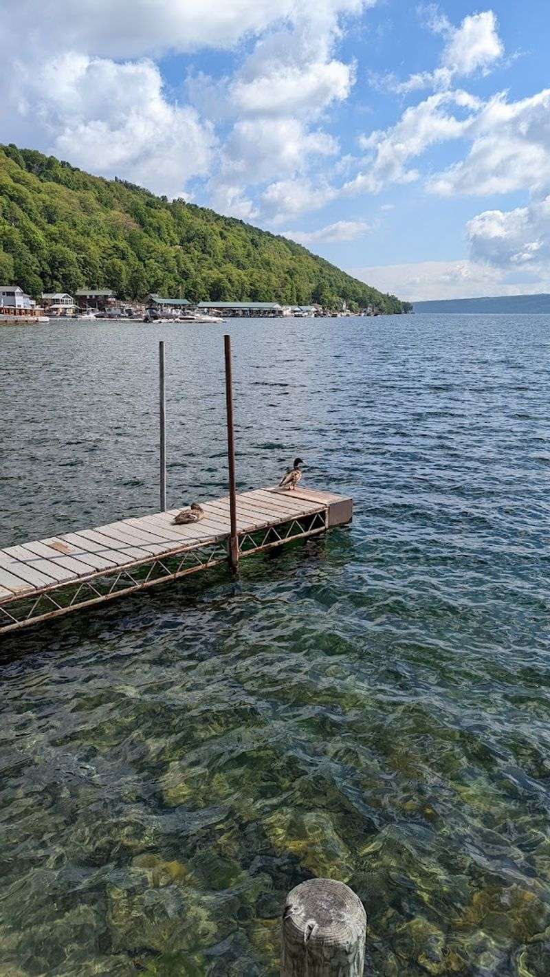 Hammondsport - New York