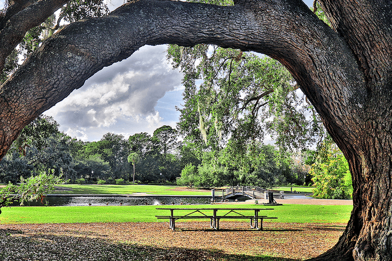 Hampton Park - Charleston, South Carolina