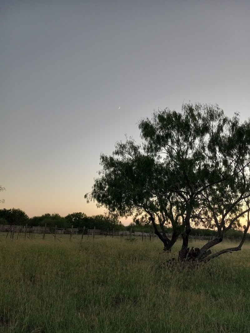 Harlingen, Texas
