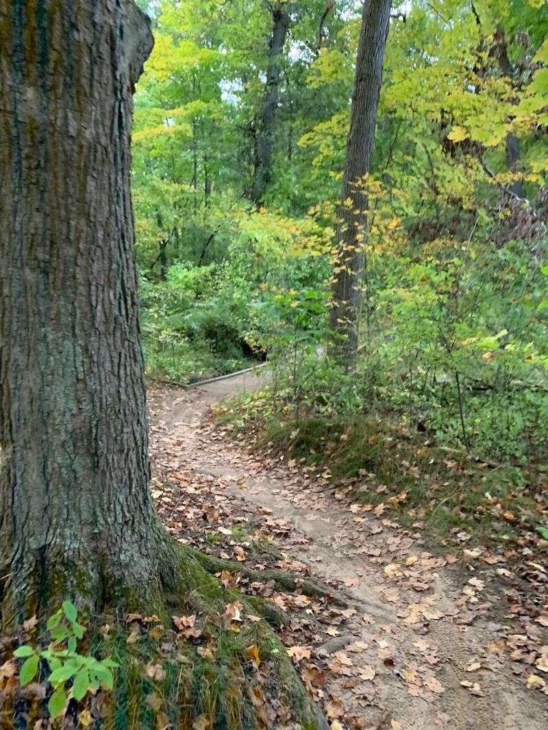 Haven Hill: Michigan's Own National Natural Landmark
