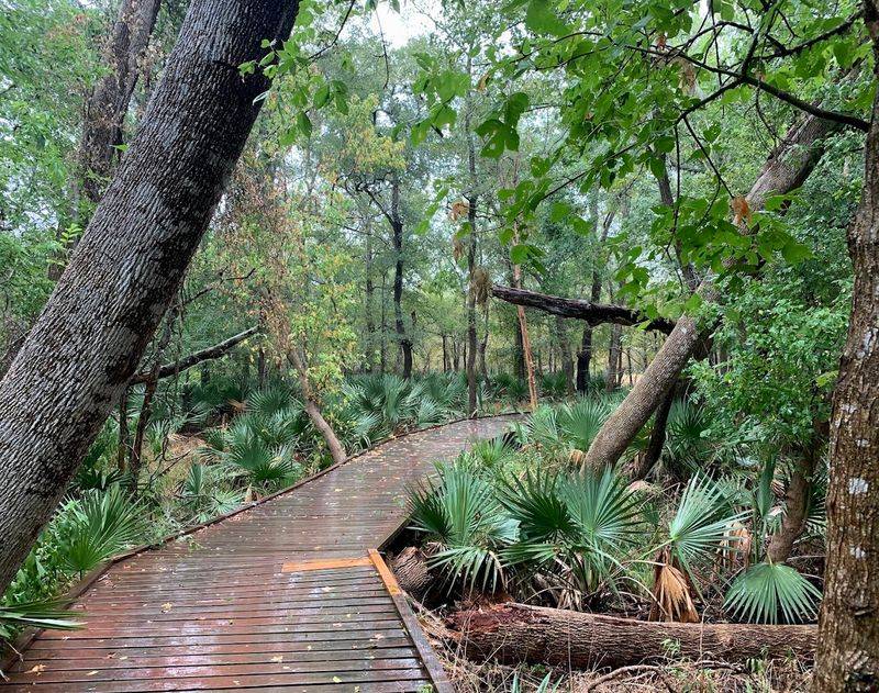 Hiking Trails Suited for All Skill Levels
