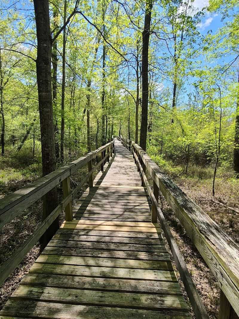 Hiking Trails That Keep You Coming Back for More