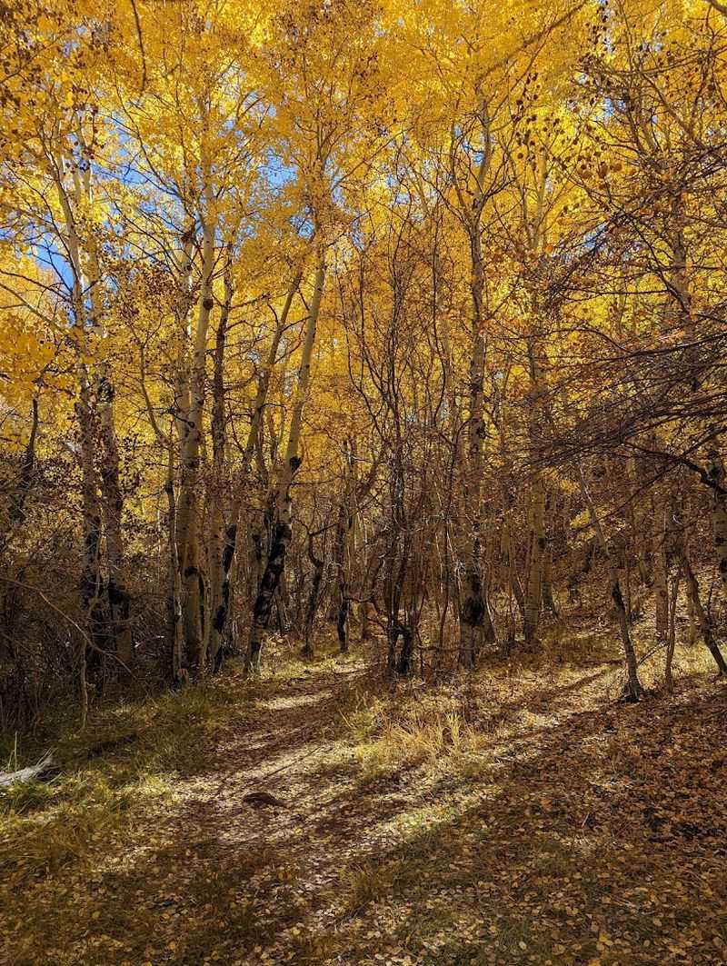Hiking Trails That Range from Leisurely to Seriously Challenging Hiking Trails That Range from Leisurely to Seriously Challenging