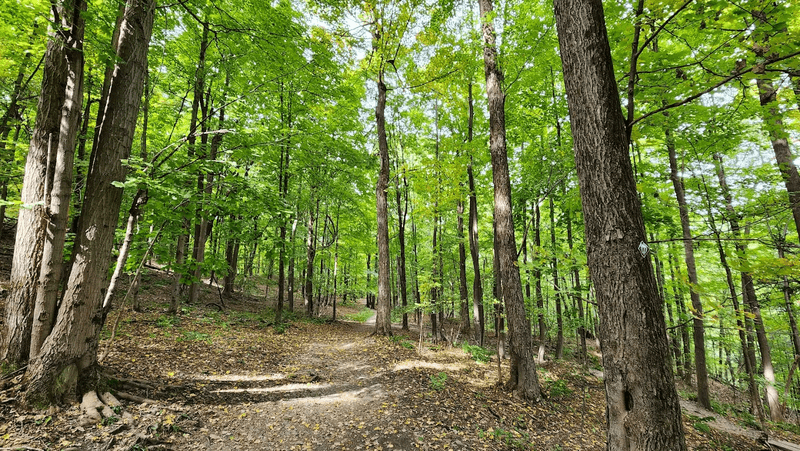 Hiking Trails That Reward Every Step