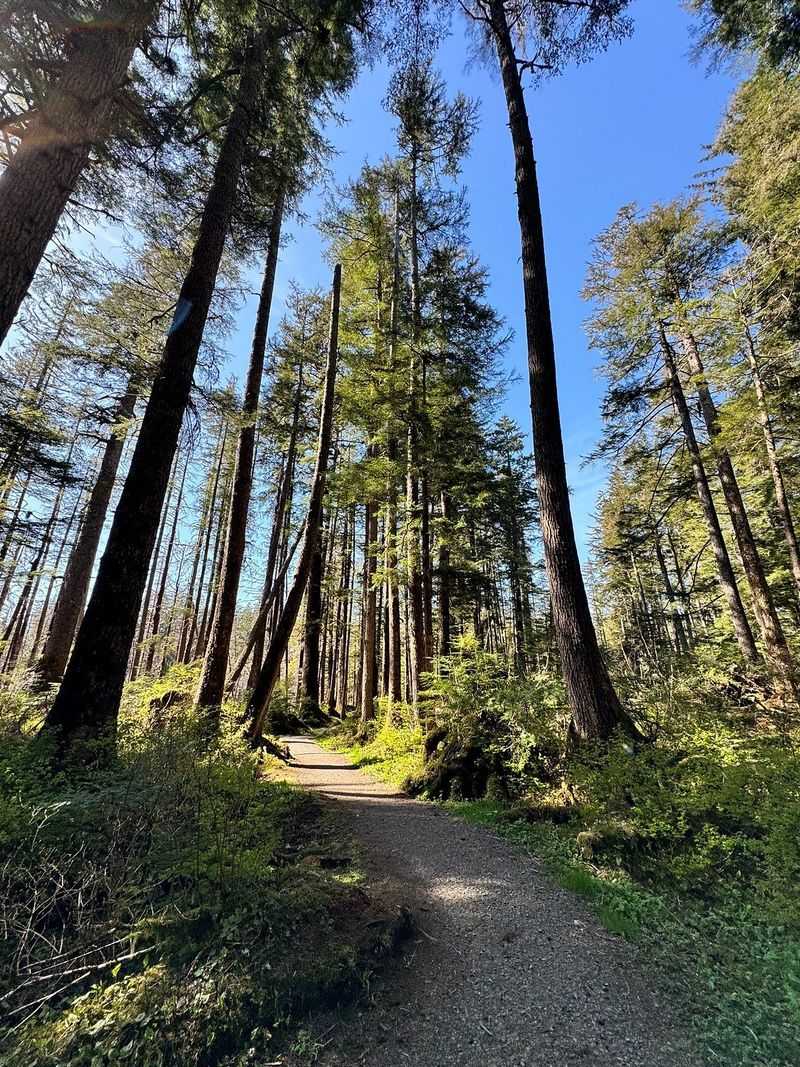 Hiking Trails That Wind Through Breathtaking Scenery