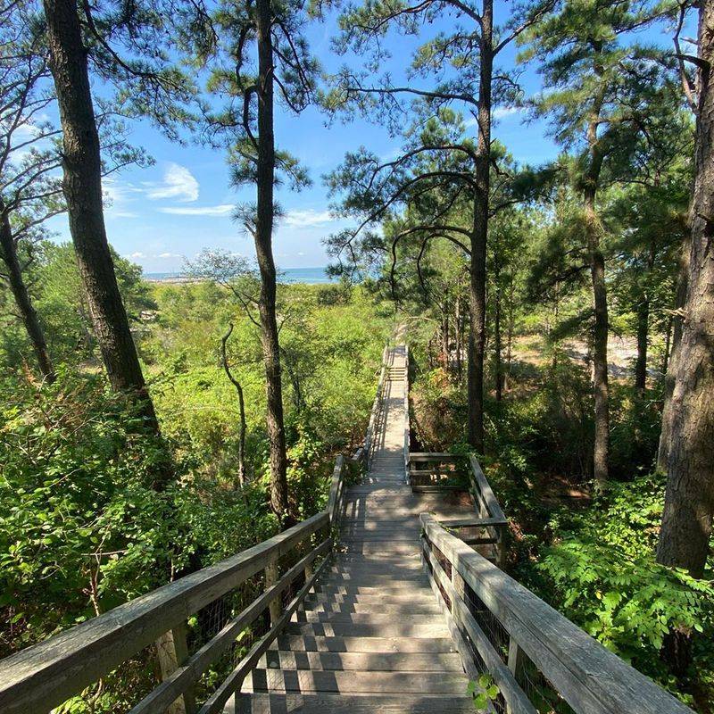 Hiking Trails That Wind Through Coastal Forest