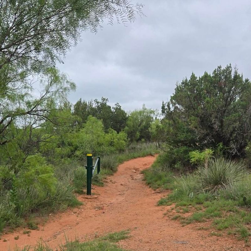 Hiking Trails That Wrap Around the Whole Park