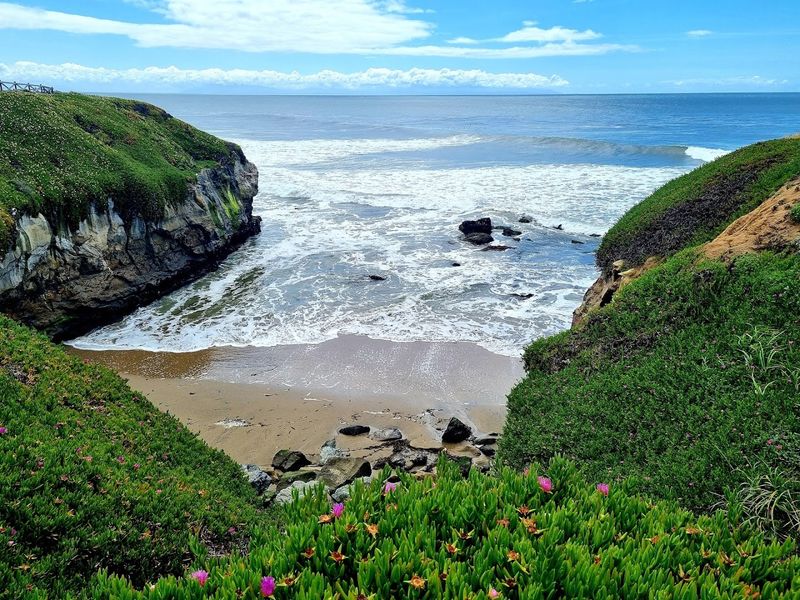 Hiking Trails Through the Park
