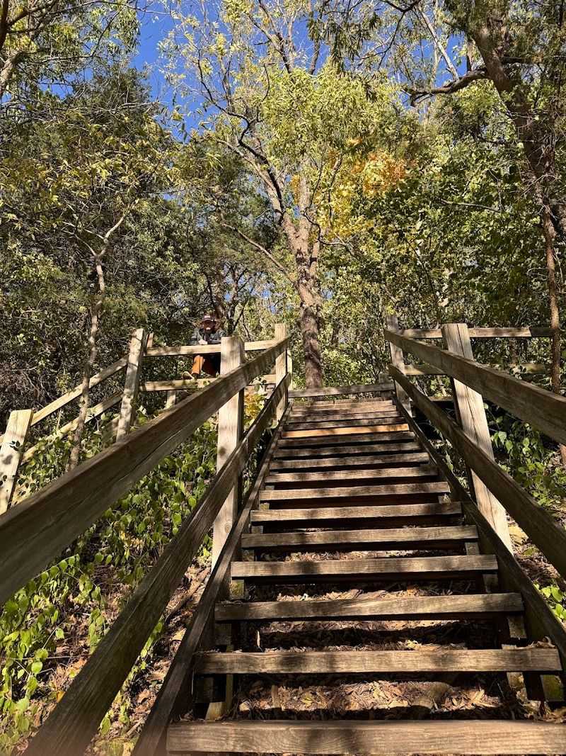Hiking Trails for Every Fitness Level
