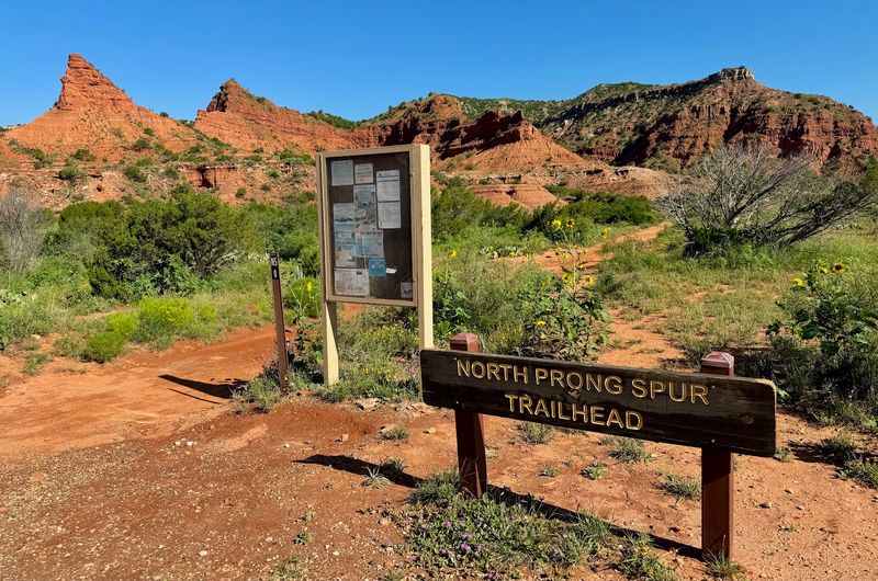 Hiking Trails for Every Skill Level Hiking Trails for Every Skill Level