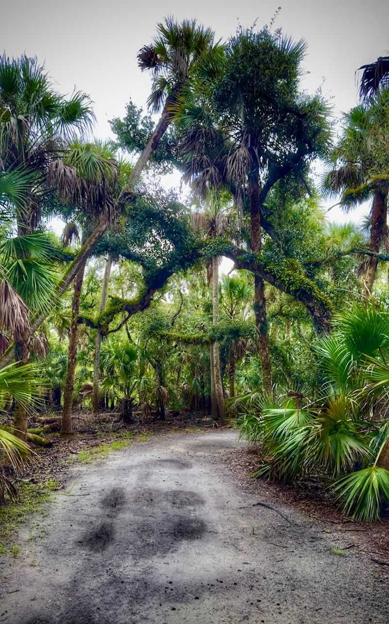 Hiking Trails for Every Skill Level