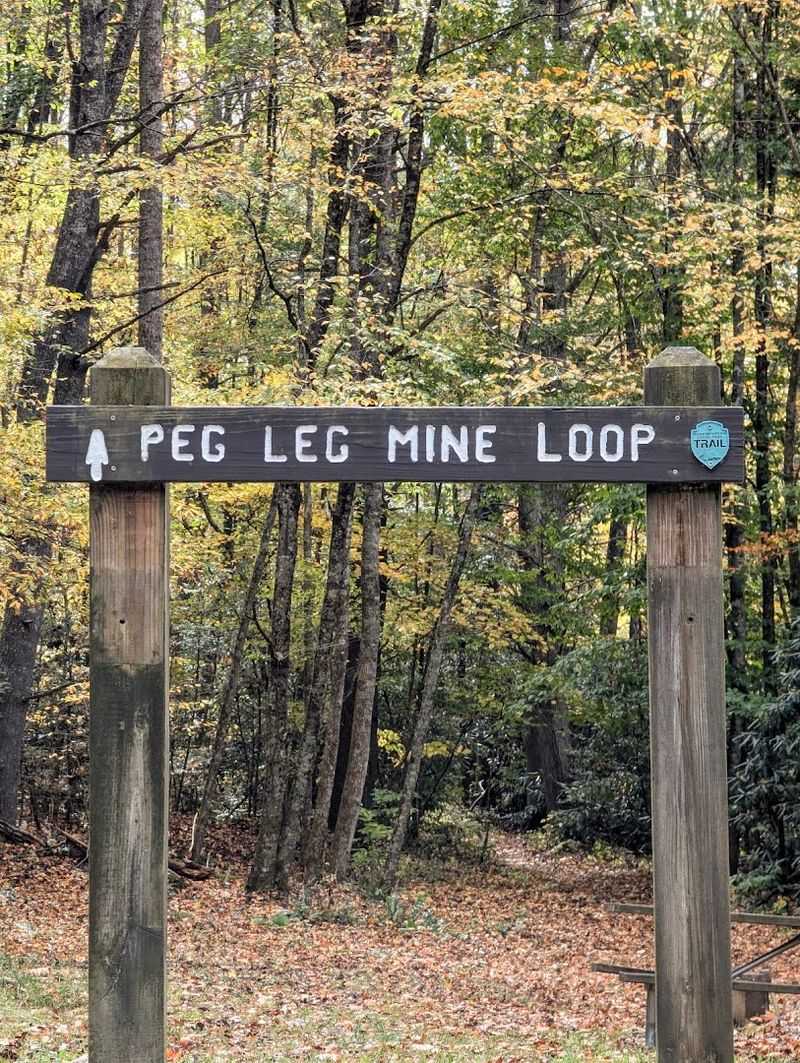 Hiking Trails for Every Skill Level