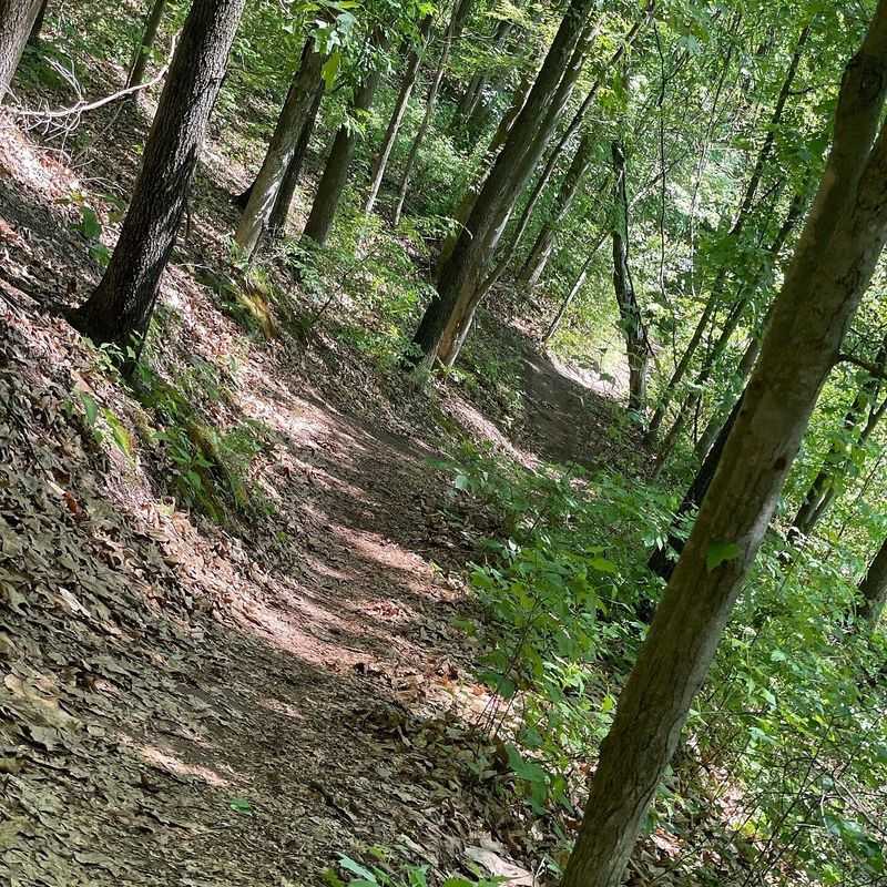 Hiking Trails for Every Skill Level