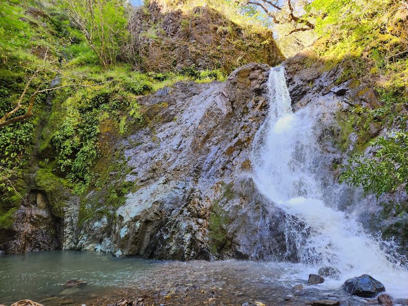 Hiking Trails for Every Skill Level