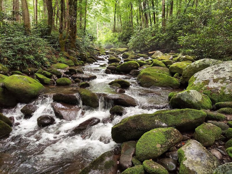 Hiking the Appalachian Trail Through the Heart of the Smokies