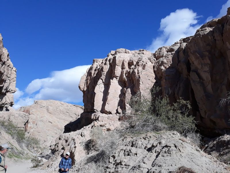 Hiking the Famous Palm Canyon Trail