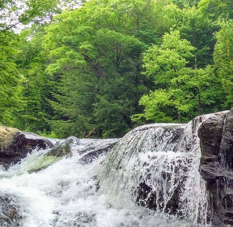 Hiking the Ferncliff Peninsula