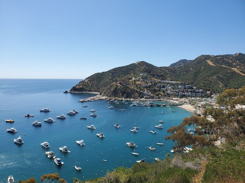 Hiking the Scenic Trails Above Avalon