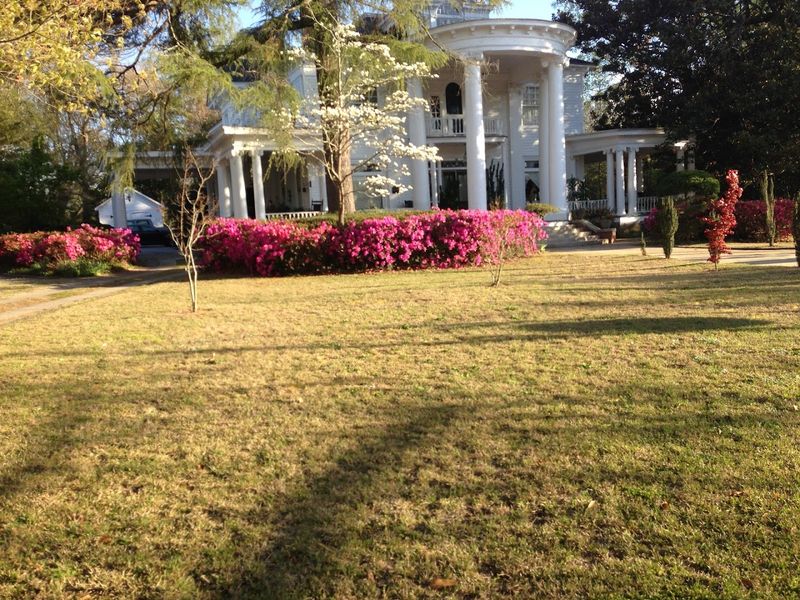 Historic Home Tours: Victorian Architecture Up Close and Personal
