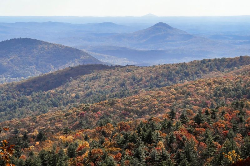 Hogpen Gap Overlook on GA-348 Hogpen Gap Overlook on GA-348