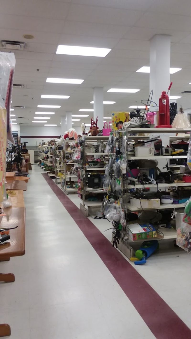 Home Goods Worth Digging Through Home Goods Worth Digging Through