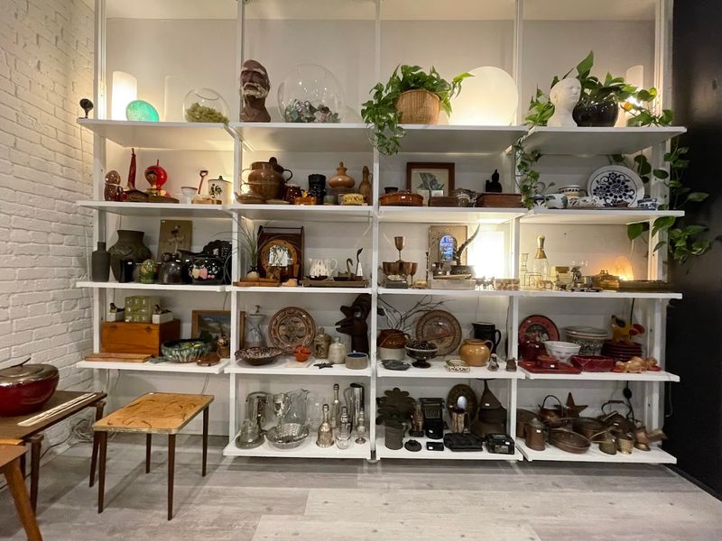 Home Goods and Decorative Items for Every Style