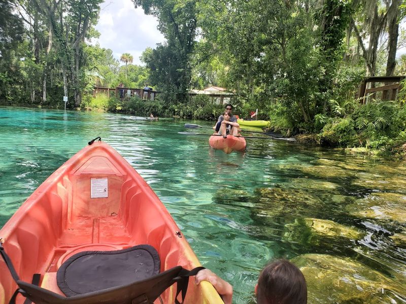 Homosassa Springs Wildlife State Park Nearby