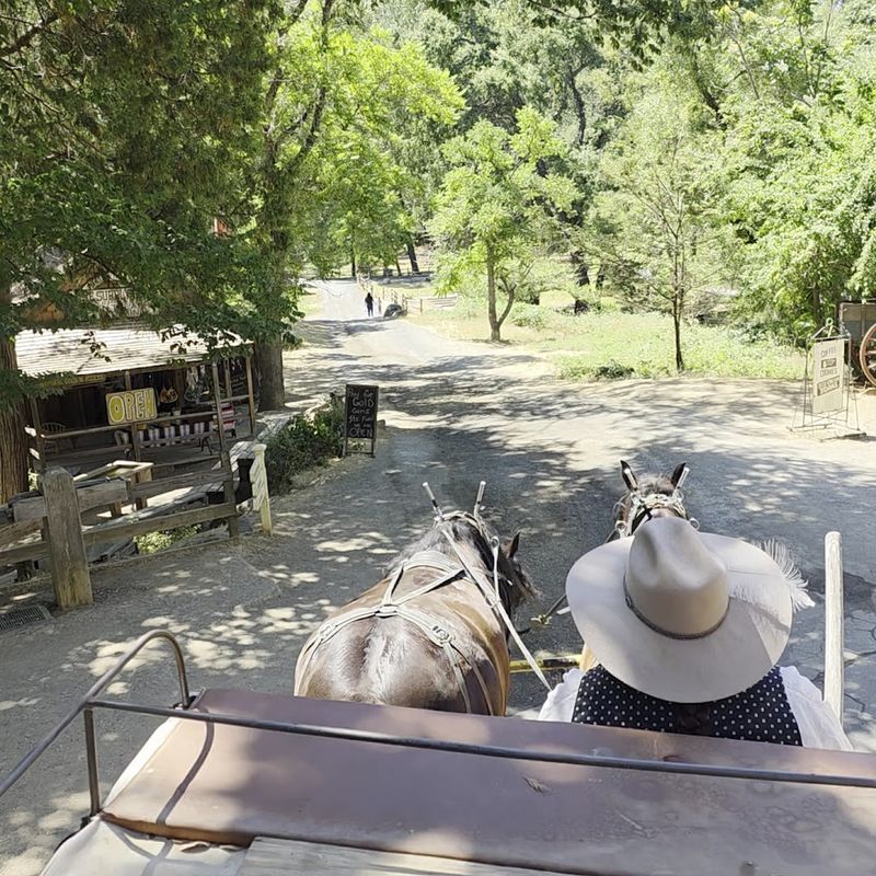 Horse-Drawn Carriage Rides: A Gorgeous, Gentle Adventure