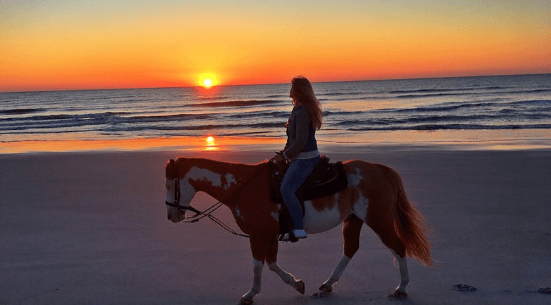 Horseback Riding on the Beach: Pure Florida Magic