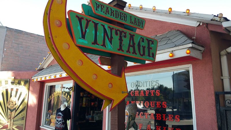 Hours, Location, and How to Plan Your Visit