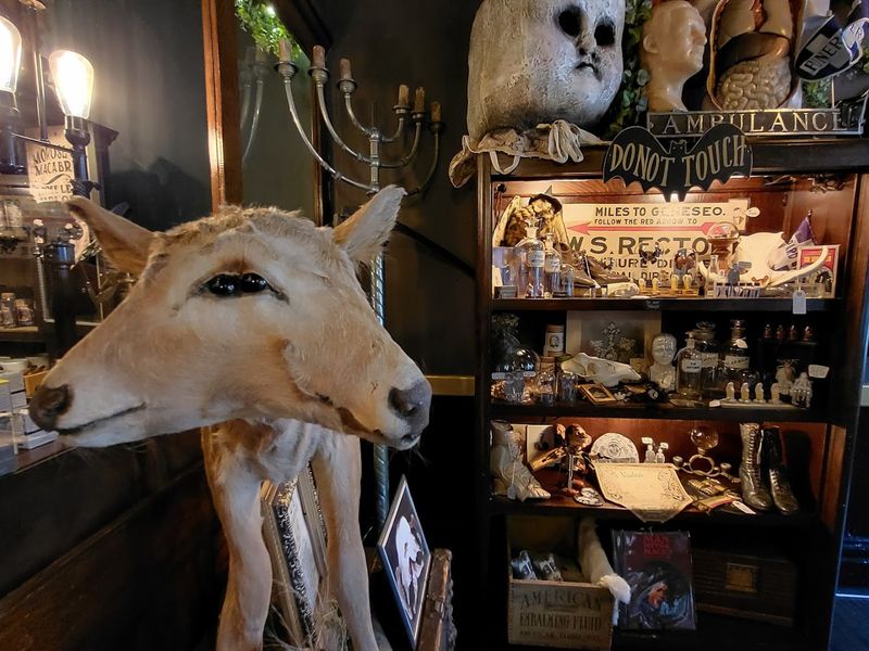 Hours, Location, and Tips for Planning Your Visit