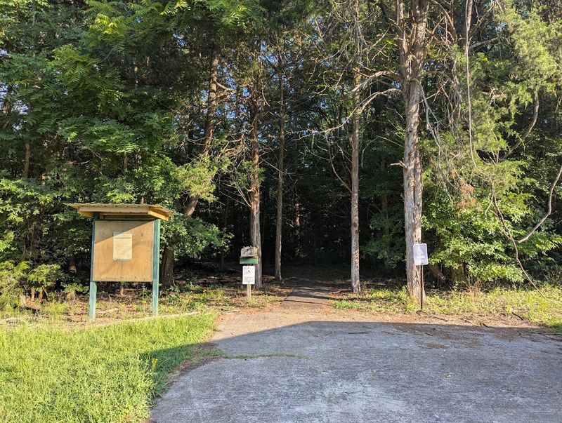 Hunting Opportunities Across the Property