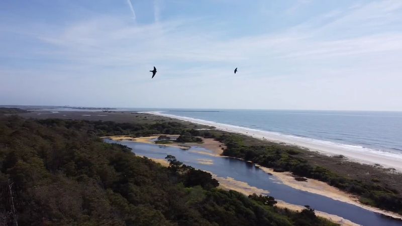Huntington Beach State Park - Murrells Inlet, South Carolina