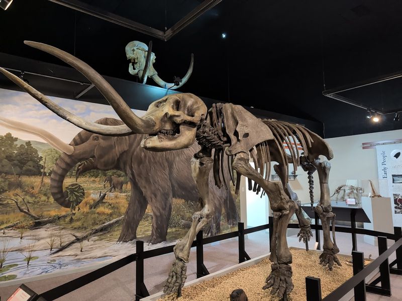 Ice Age Fossils That Will Blow Your Mind Ice Age Fossils That Will Blow Your Mind