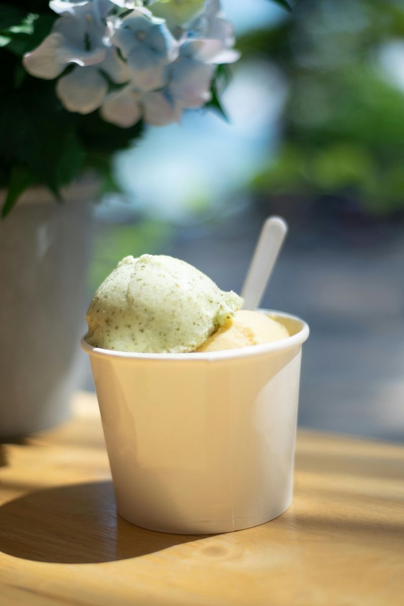 Ice Cream Pints