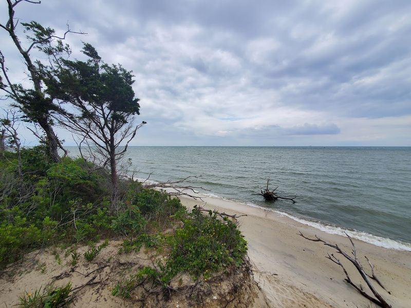 Incredible Birding and Wildlife That Nature Lovers Will Obsess Over