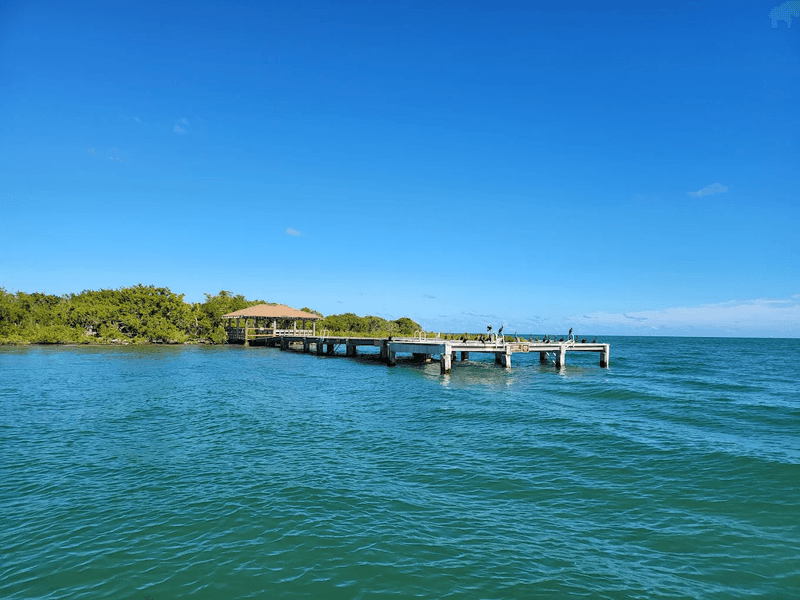 Indian Key Historic State Park: Ruins That Tell a Wild Story Indian Key Historic State Park: Ruins That Tell a Wild Story