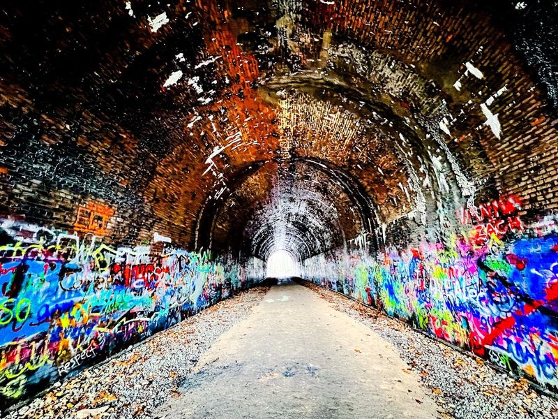 Inside the Tunnel: Graffiti as Living Art