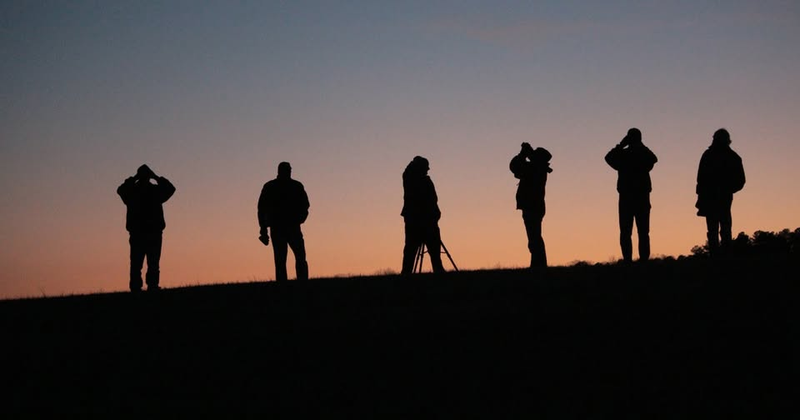 Interpretive Programs and Ranger-Led Events