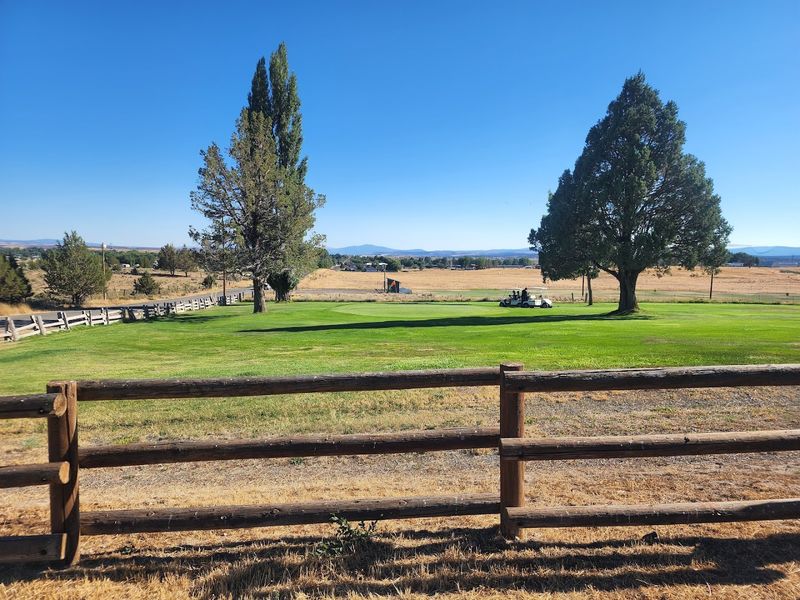 Is Alturas the Right Move for You?
