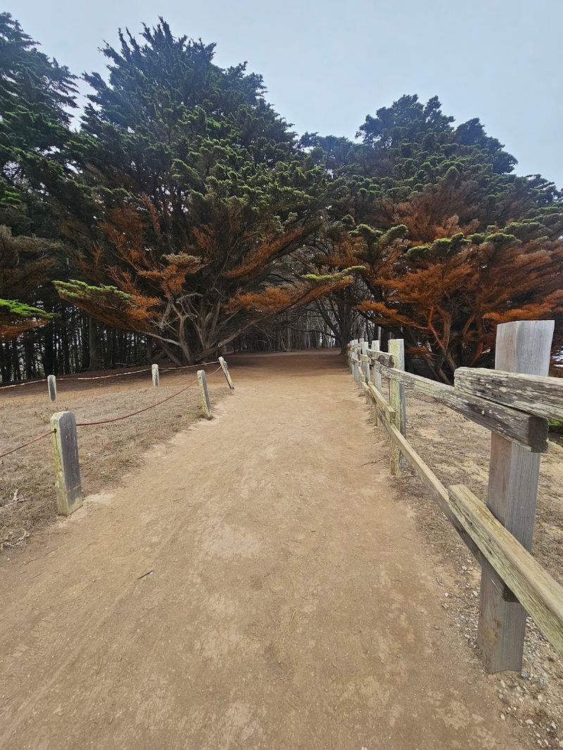 Is the Tunnel Accessible for All Visitors?